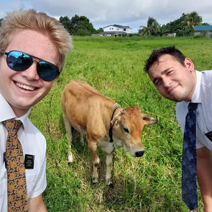 Two men in ties standing in a field with a cow

AI-generated content may be incorrect.